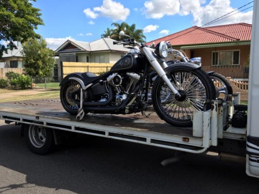 2 Custom Harleys